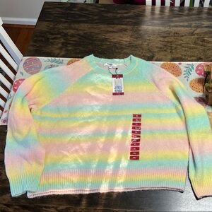 BB Dakota by Steve Madden Pastel Striped Sweater